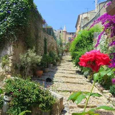 Hyères-les-Palmiers Rejseleder
