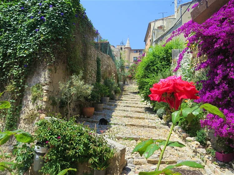 Guide touristique à Hyères-les-Palmiers