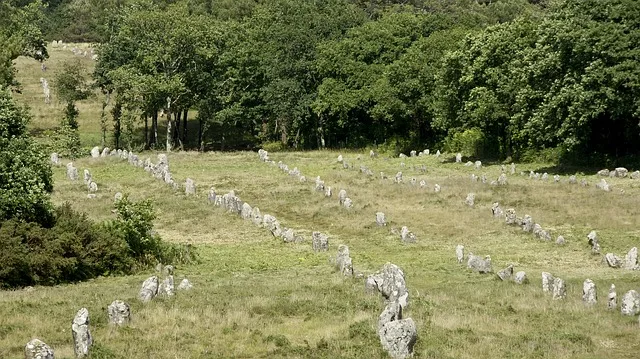 Guide touristique à Carnac – Image 11