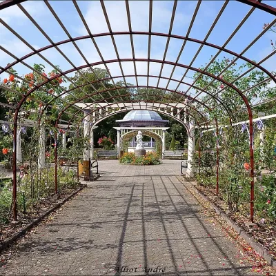 Reseledare i Belfort