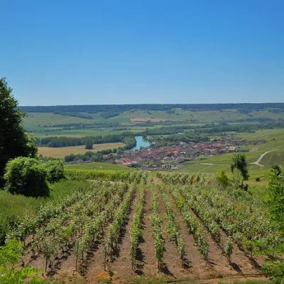 Udhëzues për turne Epernay