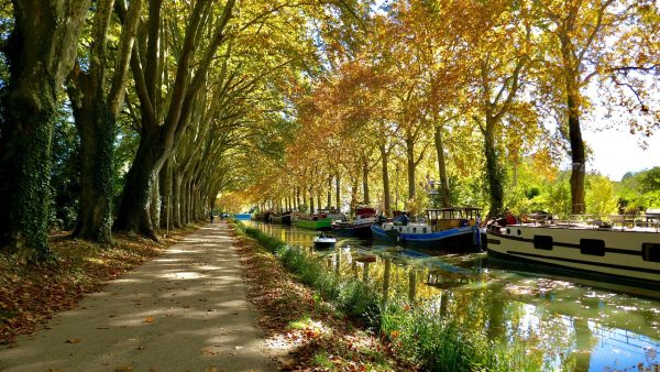 Toulouse turistični vodnik