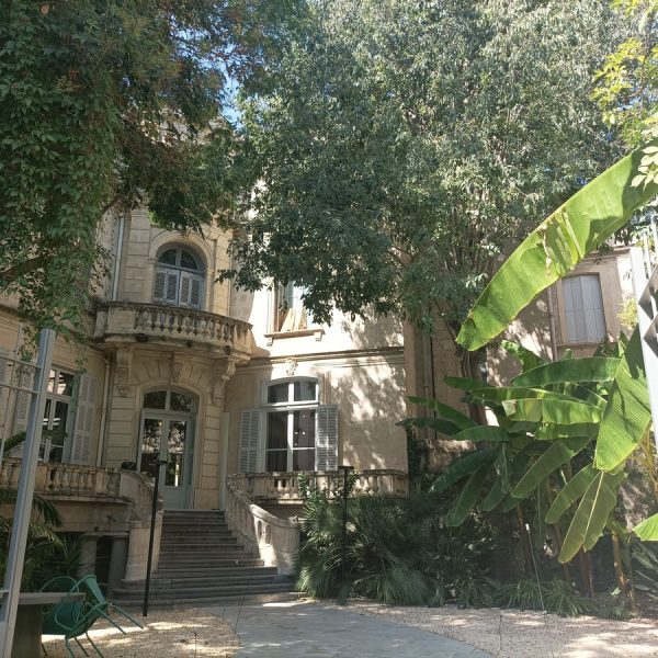 Tour guide in Montpellier, Romain Bouchaud