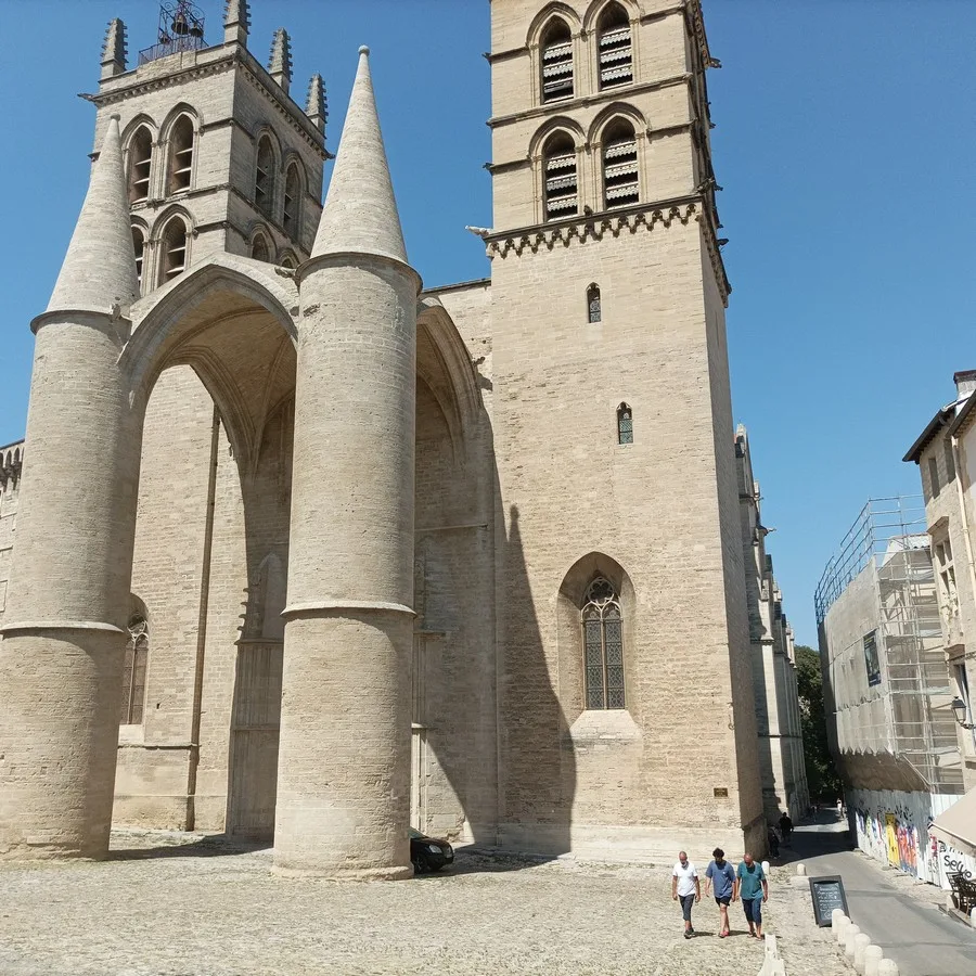 Chuyến tham quan có hướng dẫn tại Montpellier, Romain Bouchaud, Hướng dẫn du lịch tại Montpellier