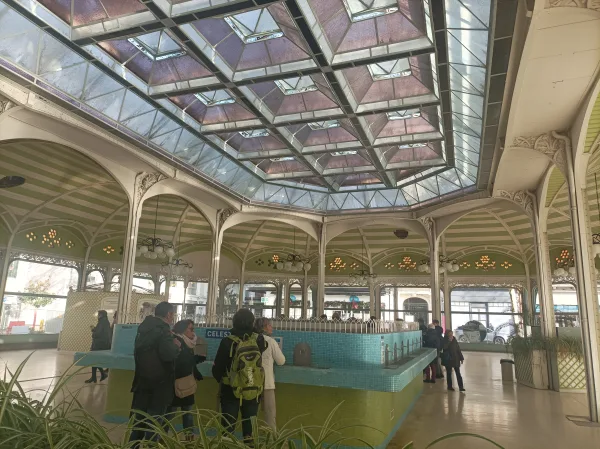 Tour guide in Vichy, Ромен Бушо