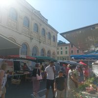 Vienne Tour Guide, Romain Bouchaud