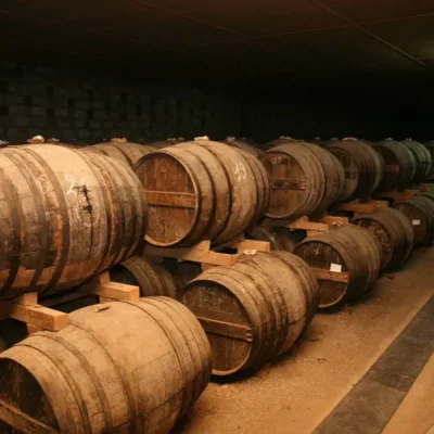 Cognac tour guide