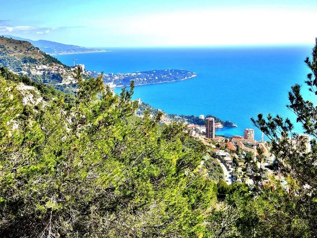 Visit Monaco exotic garden