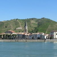 Tournon-sur-Rhône Guided Tour
