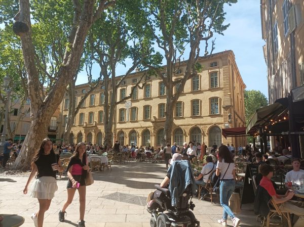 Private guide in Aix-en-Provence, Romain Bouchaud