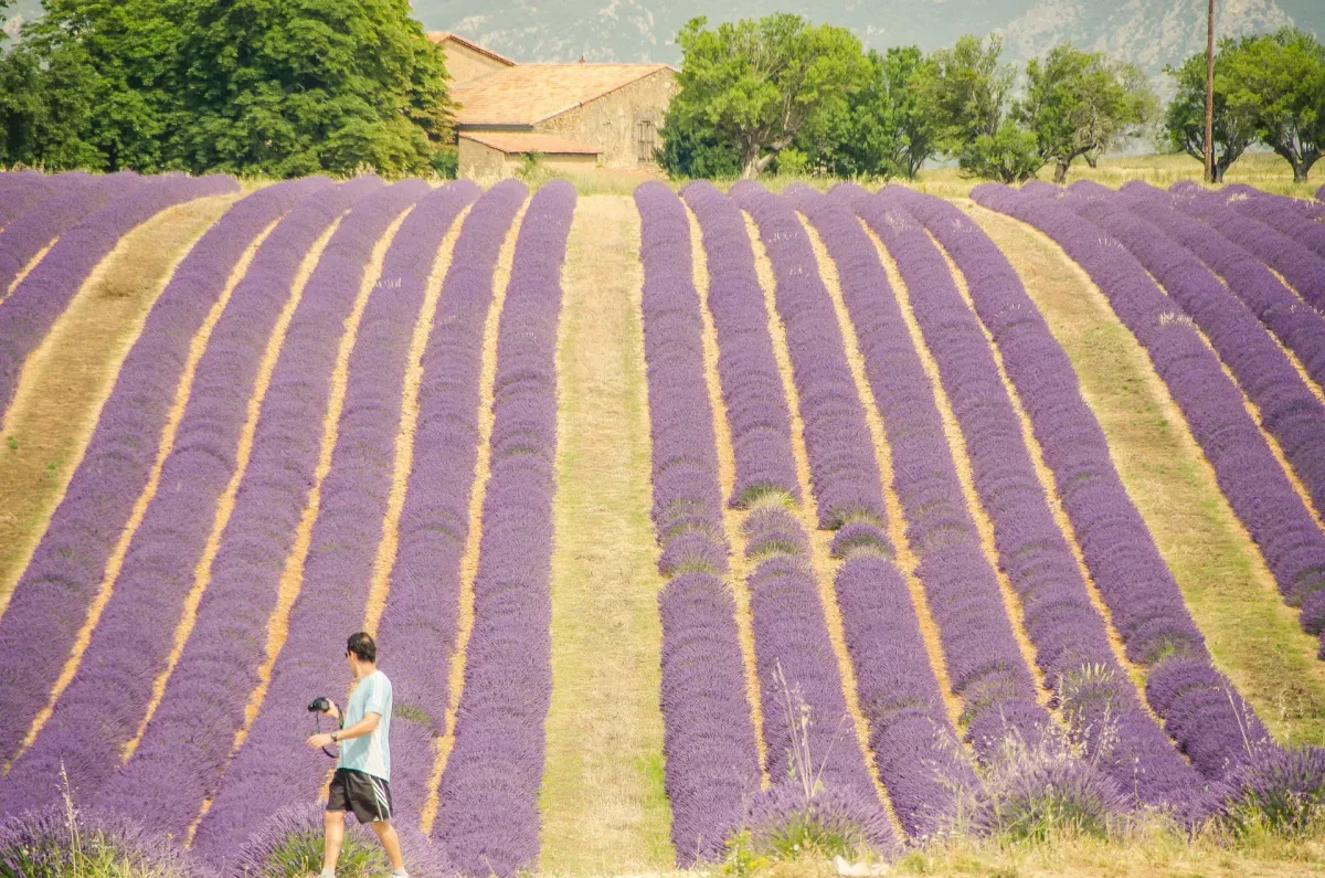 Provence Private Tour
