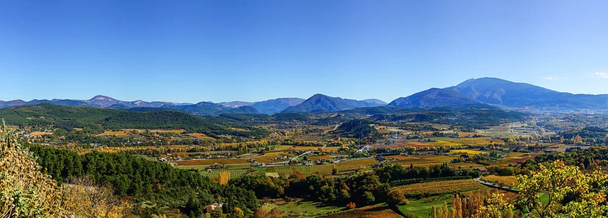 Provence Private Tour