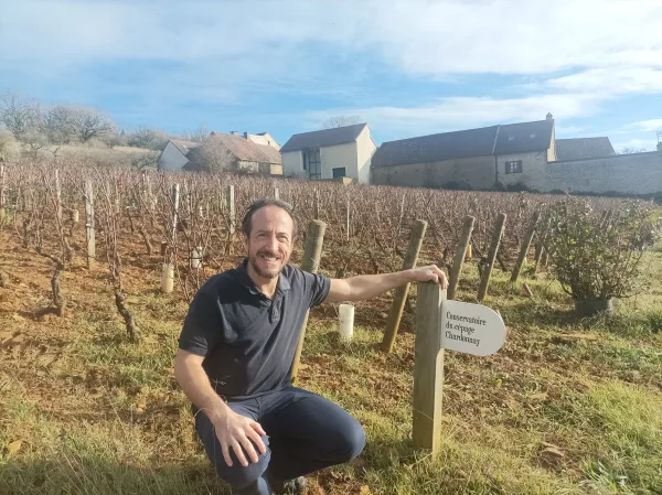 Fararstjóri í Beaune, Romain Bouchaud