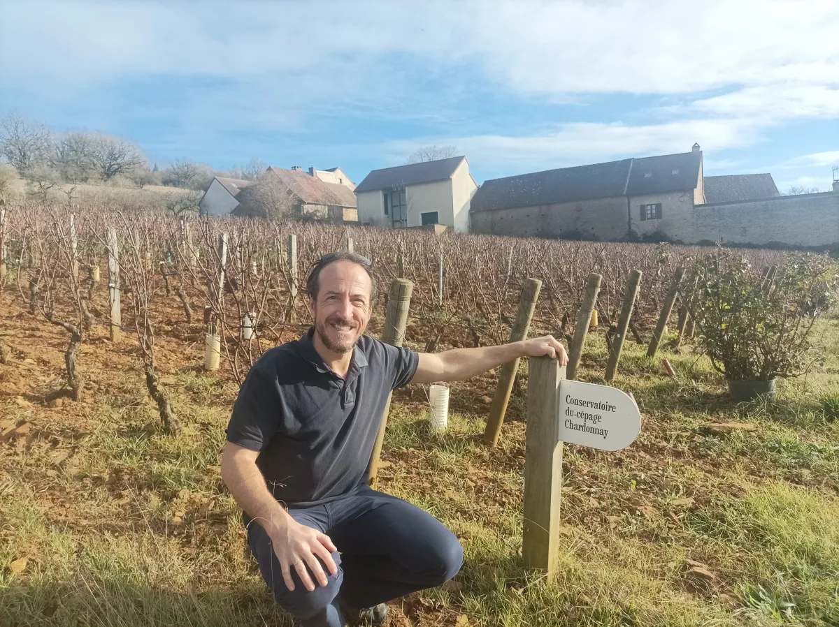Tour guide in Beaune, Romain Bouchaud, Wine tour in Burgundy