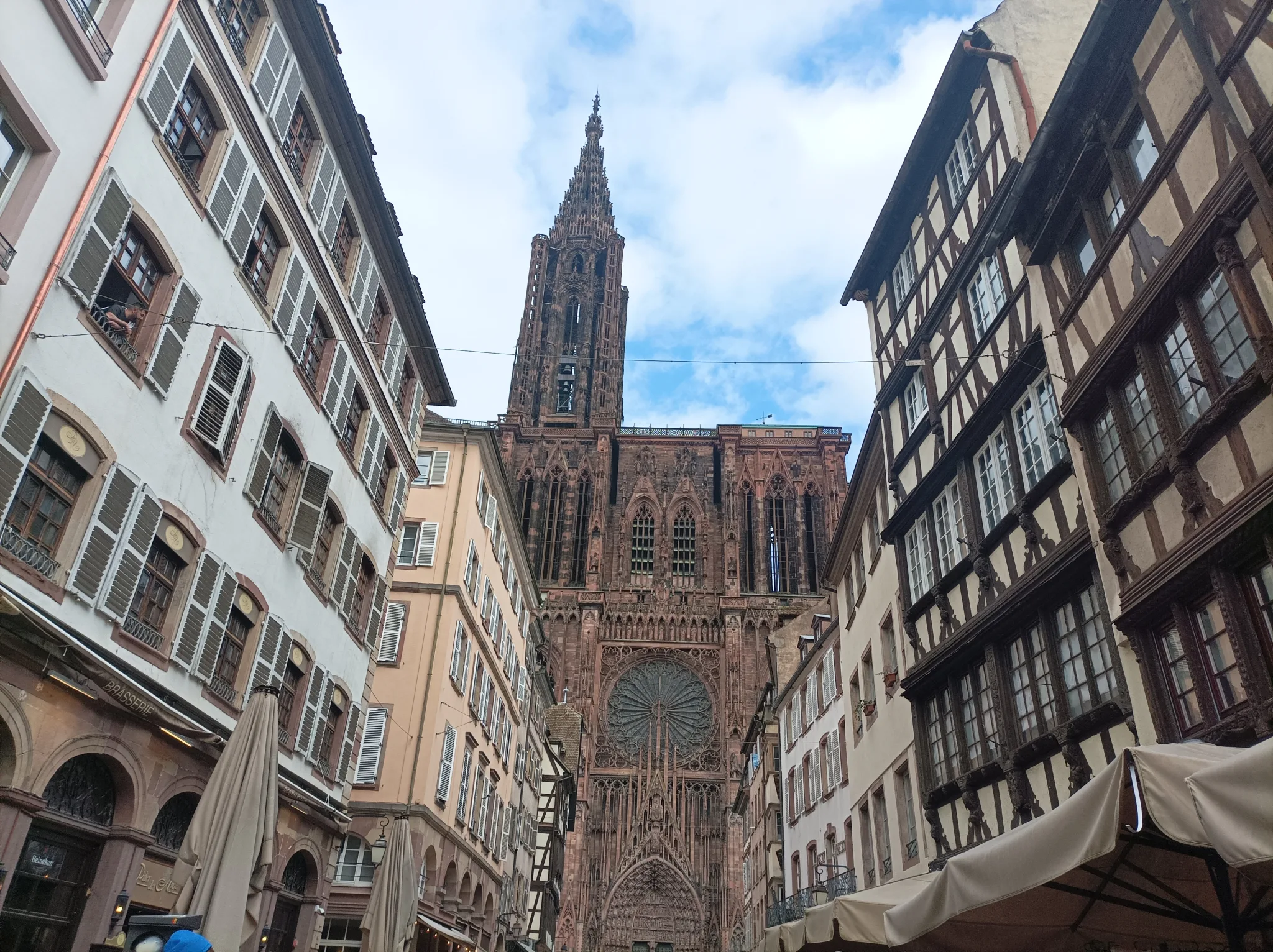 Tour guide in Strasbourg, Romain Bouchaud