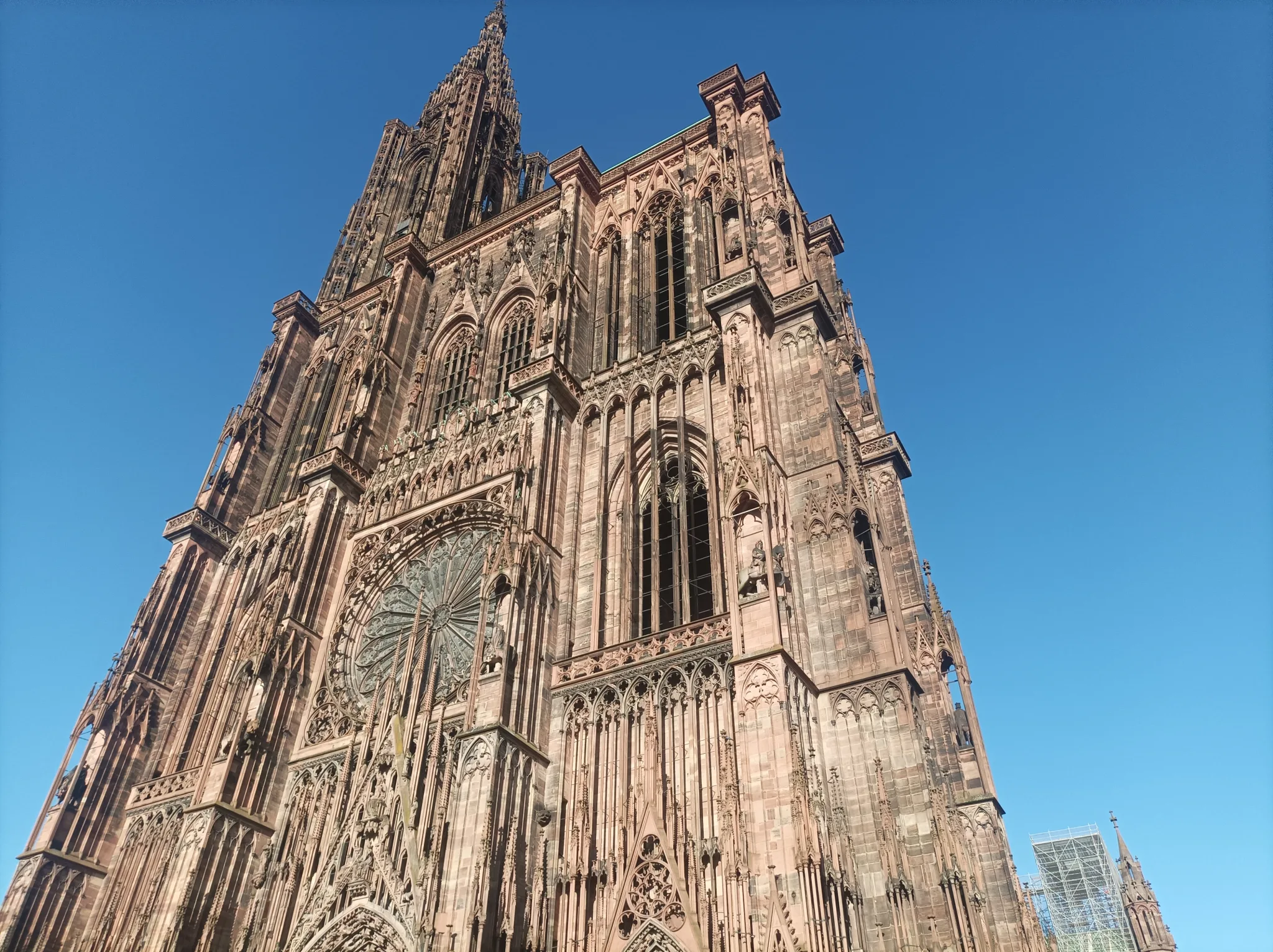 Guided tour in Strasbourg, Romain Bouchaud