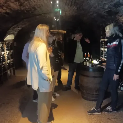 Guidad tur i Beaune inklusive vinprovning – 3 timmar