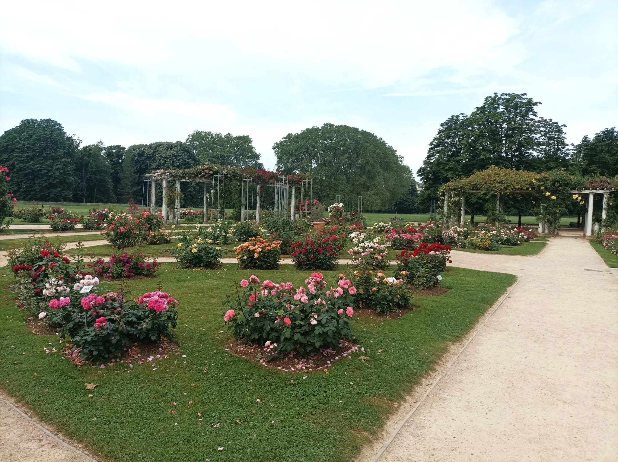 Besøg Park i Lyon, Romain Bouchaud