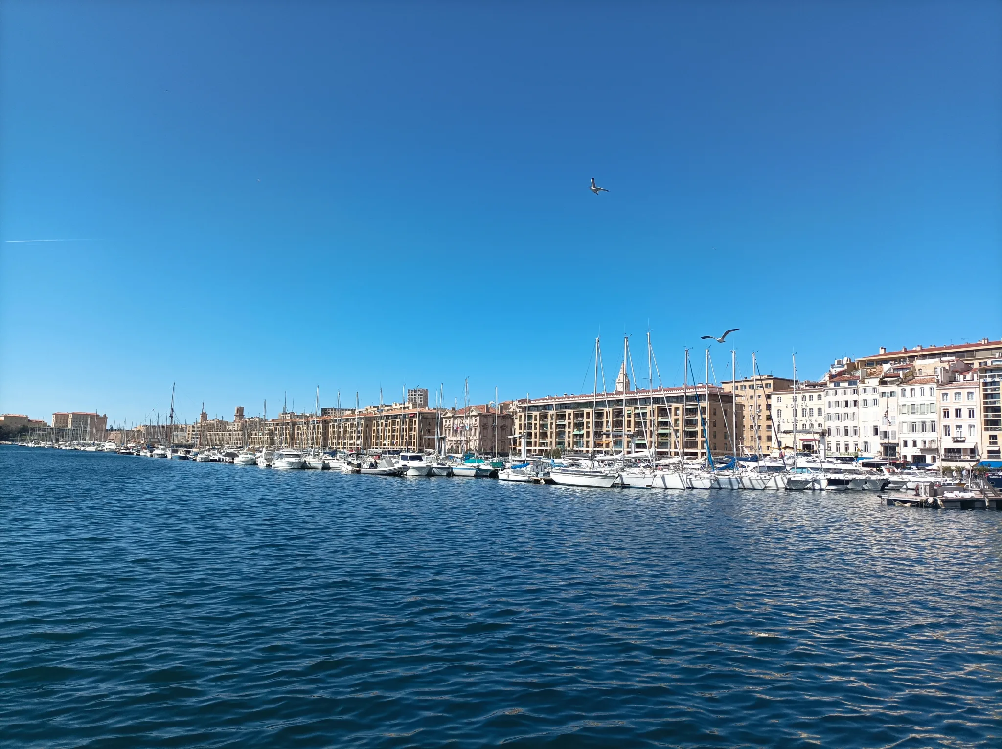 Visit Marseille old port, Romain Bouchaud, Guided tour in Marseille