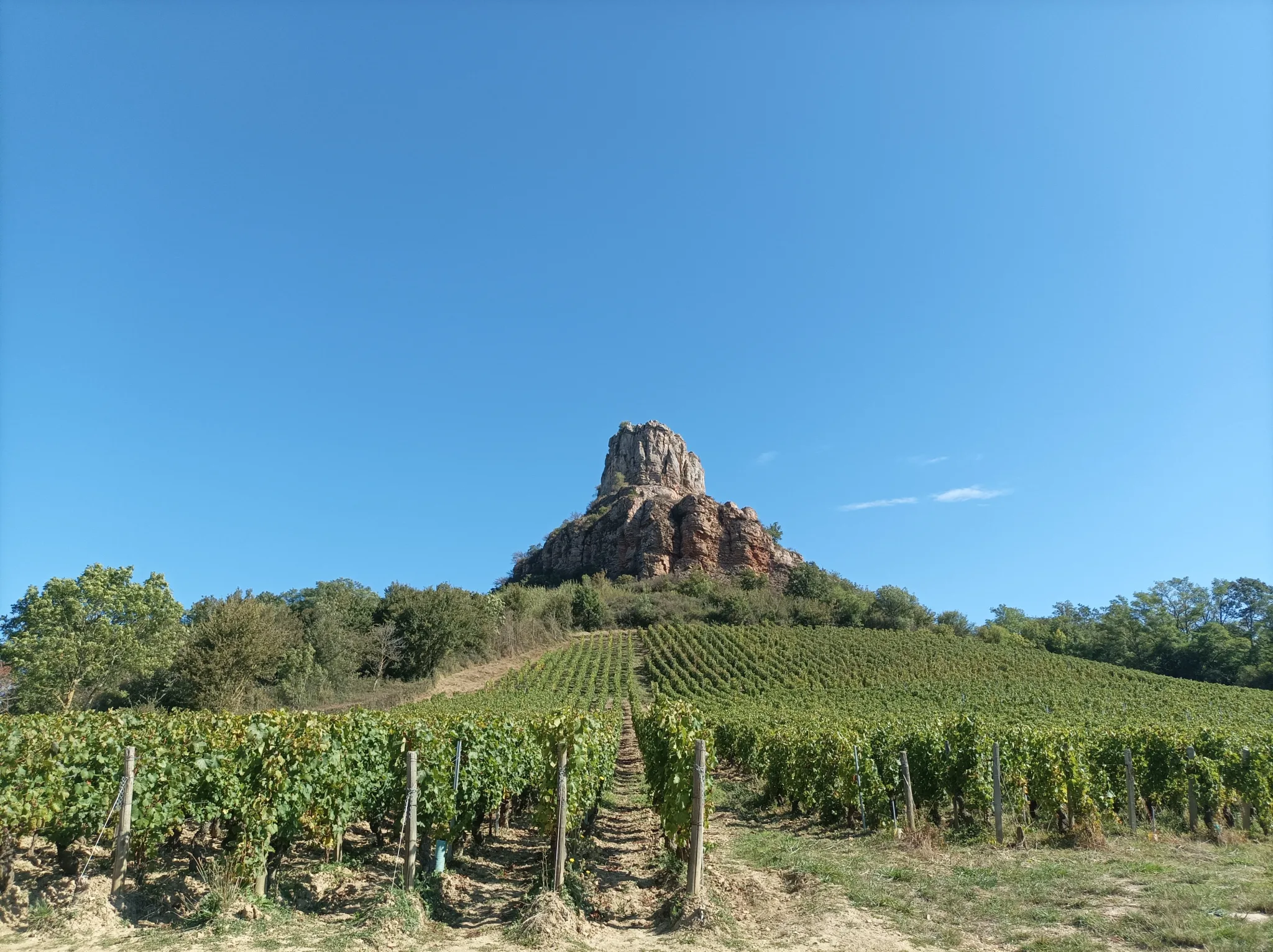Burgundy Wine Tour, Romain Bouchaud