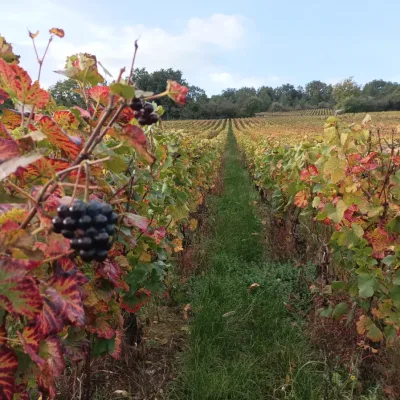 Vintur från Chalon-sur-Saône
