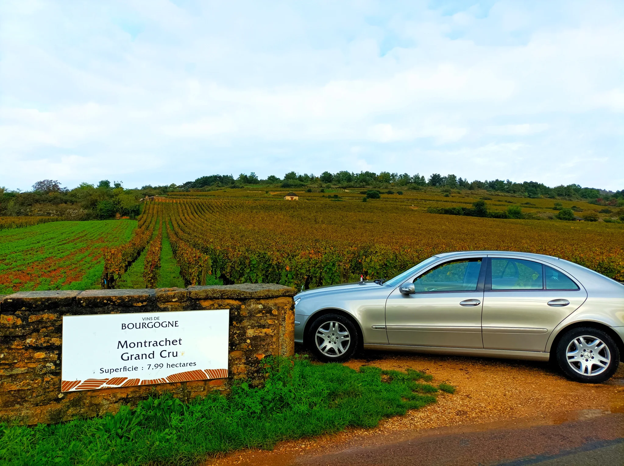 Weintour in Burgund, Romain Bouchaud