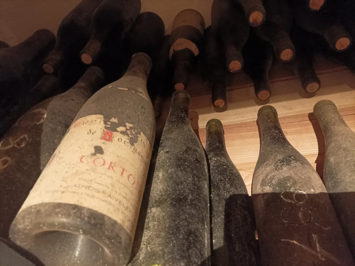 Vintur från Beaune, Romain Bouchaud