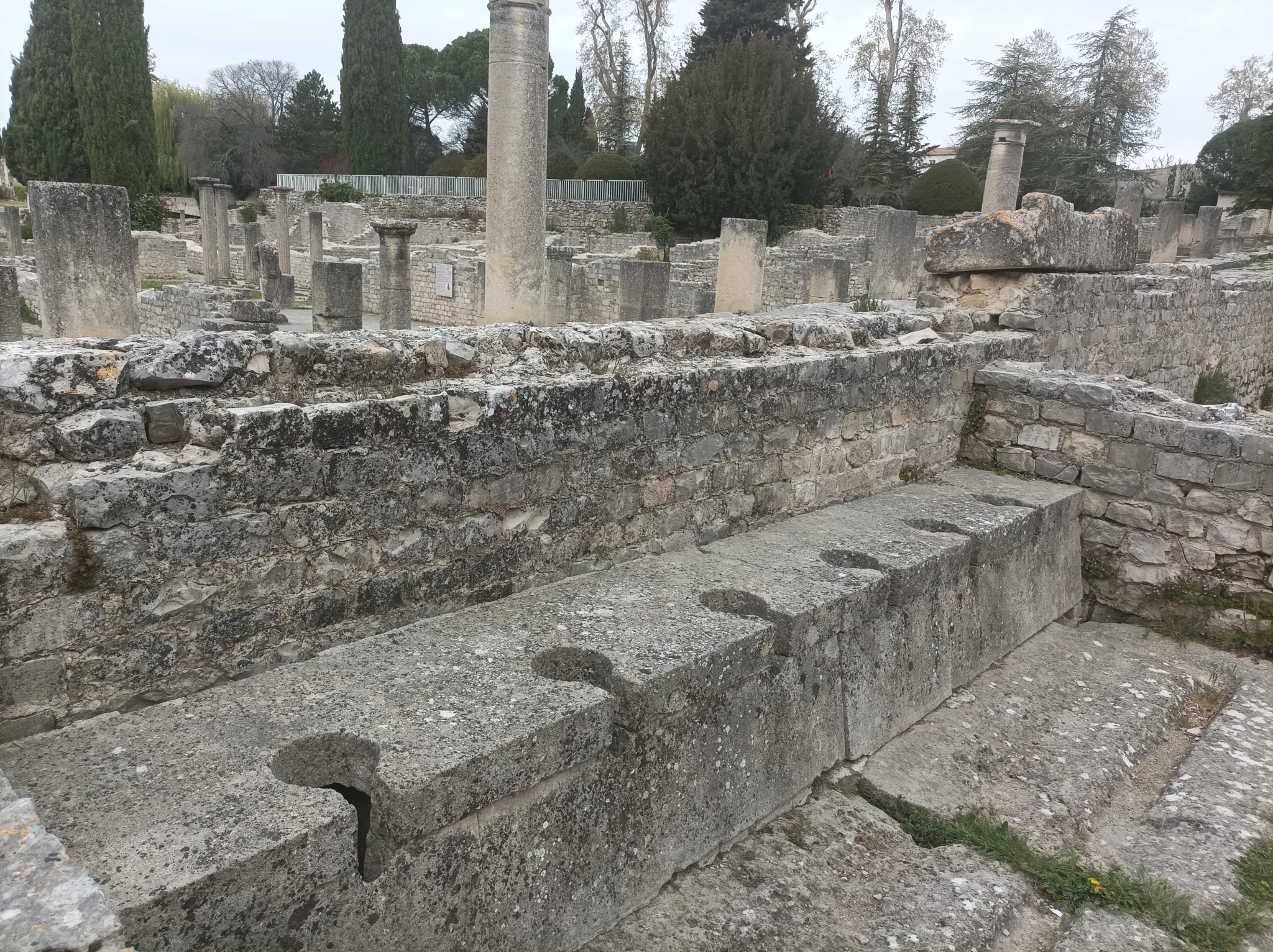 Guided tour in Vaison-la-Romaine, Romain Bouchaud