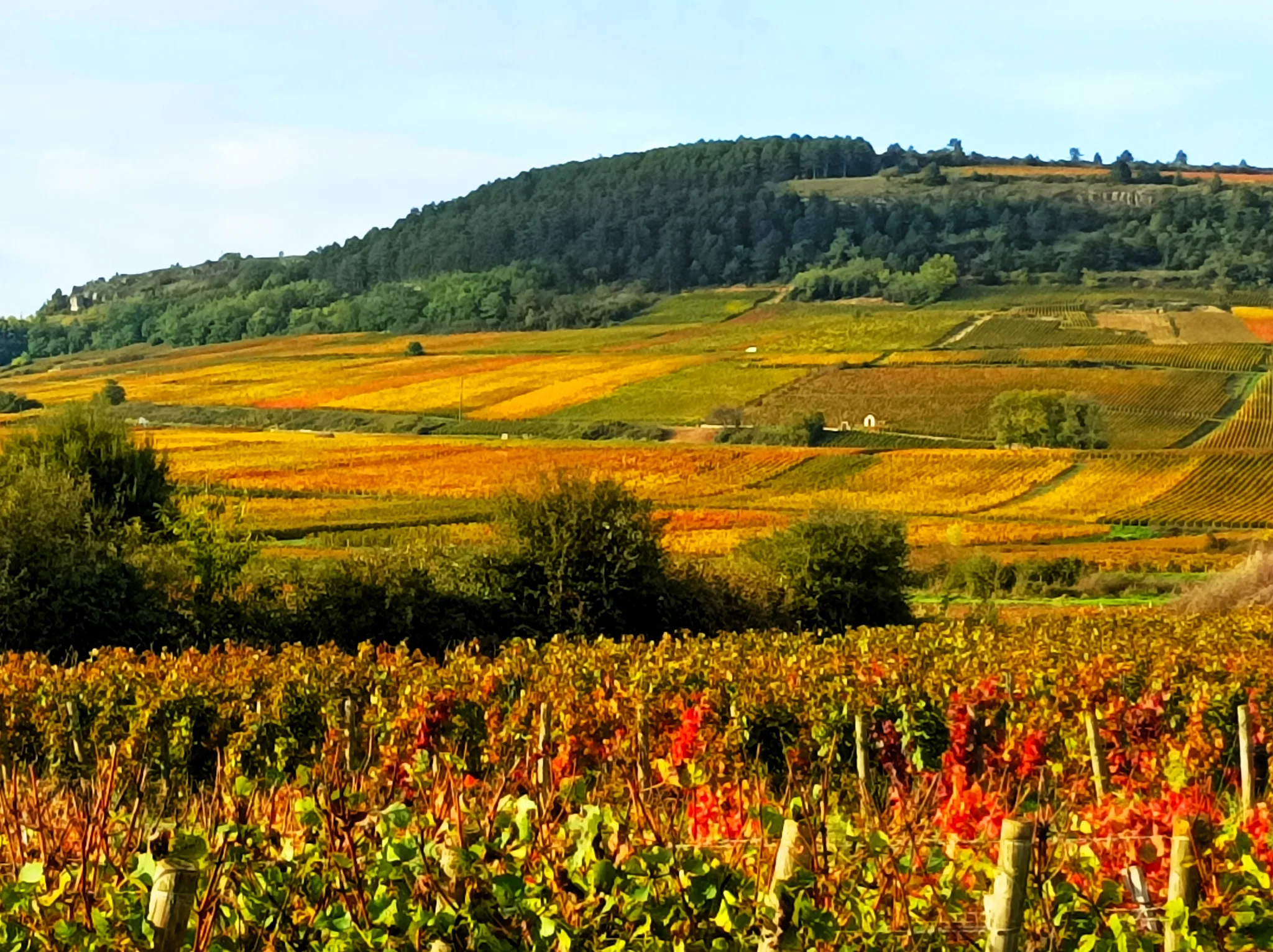 Besøg Bourgogne