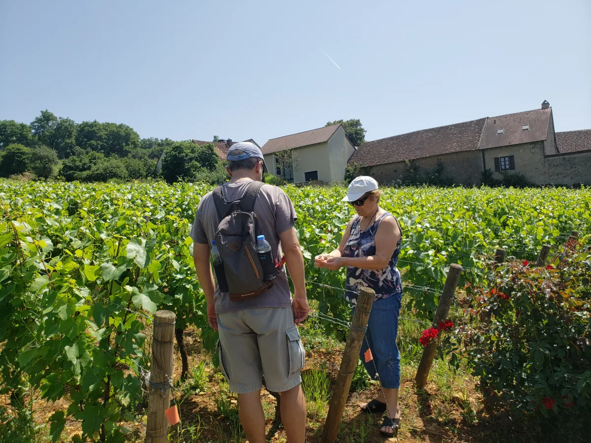 Vintur från Beaune, Romain Bouchaud