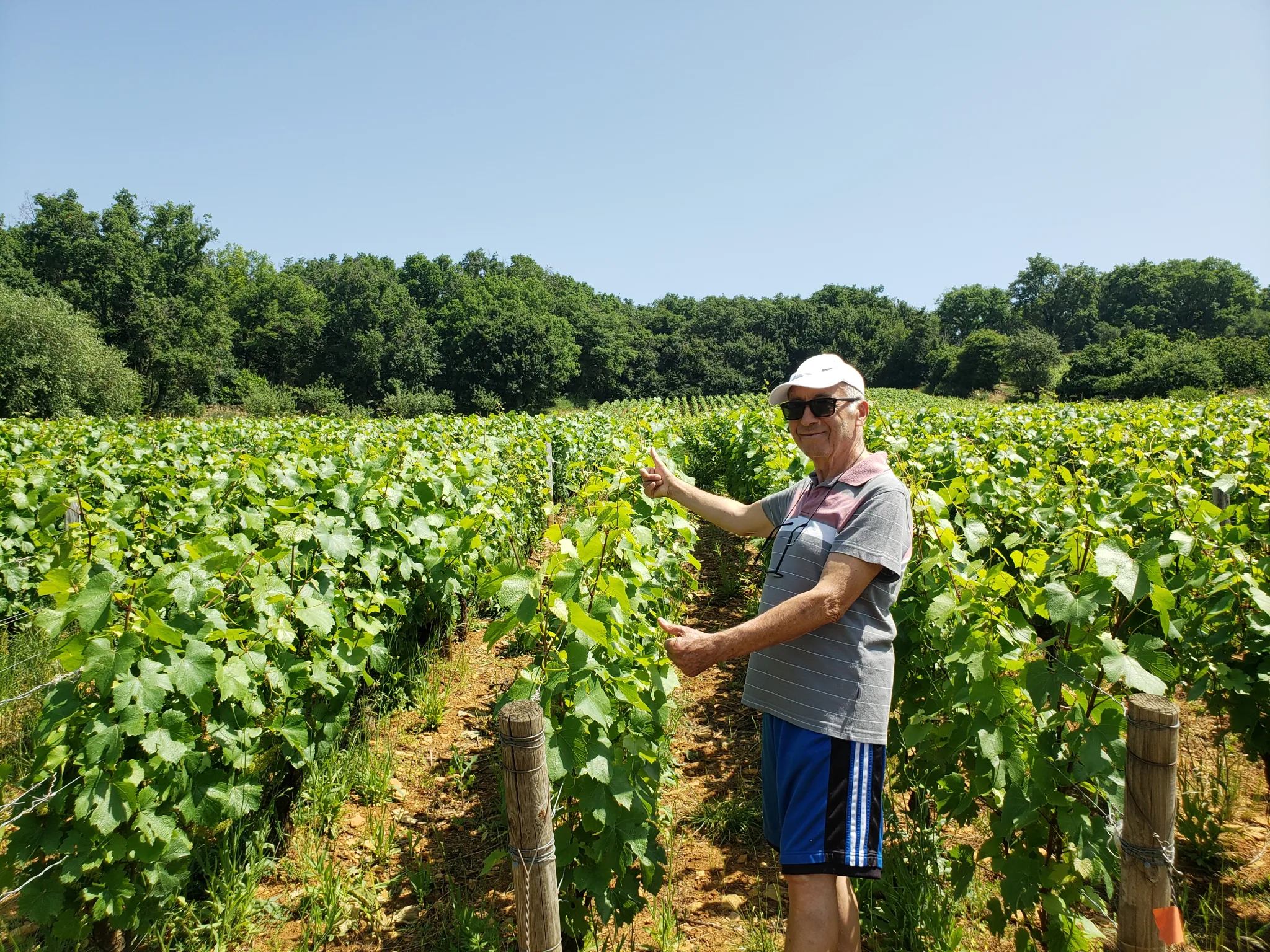 Wine tour in Burgundy, Romain Bouchaud