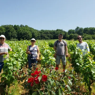 Wine tour from Beaune – 4 hours