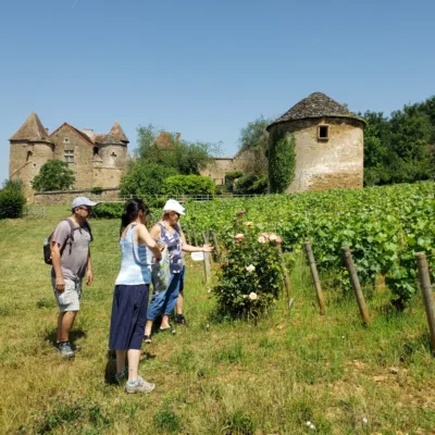 Wine tour from Dijon