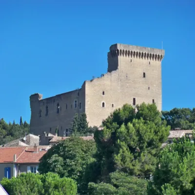 Wine tour in Châteauneuf-du-Pape – 4 hours