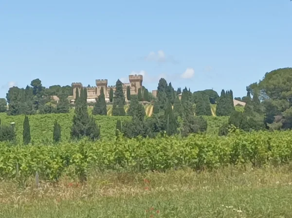ทัวร์ไปที่Châteauneuf-du-pape, Romain Bouchaud