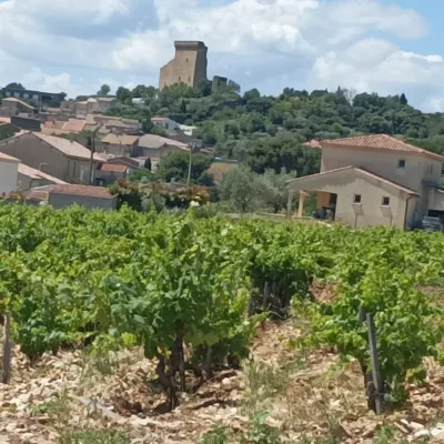 Wine tour in Châteauneuf-du-Pape – 4 hours