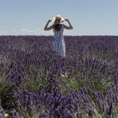Levendula túra valensole -ban – 8 óra