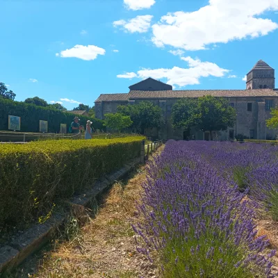 Saint-Rémy-de-Provence Tour Guide