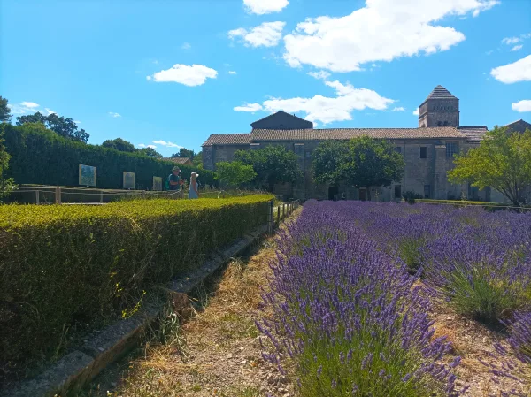 Прочетете повече за статията Посетете Saint-Rémy-de-Provence