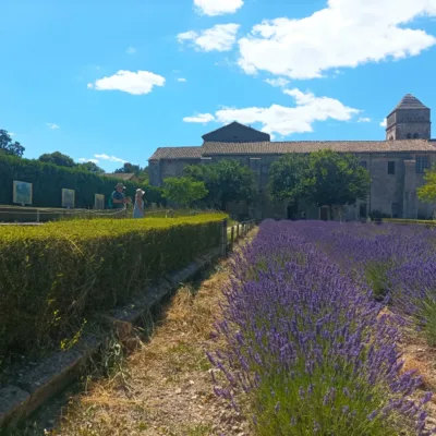 Saint-Rémy-de-Provence Tour Guide