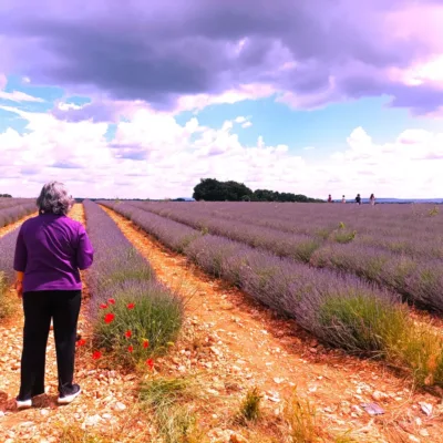 Tour in Provence – 8 hours