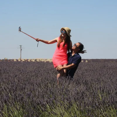 Levendula túra valensole -ban – 8 óra