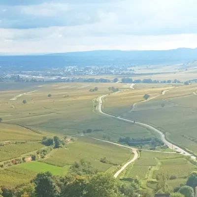 Wine tour in Burgundy – 8 hours