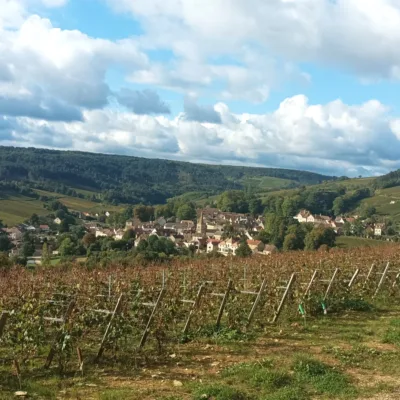 Aloxe-Corton