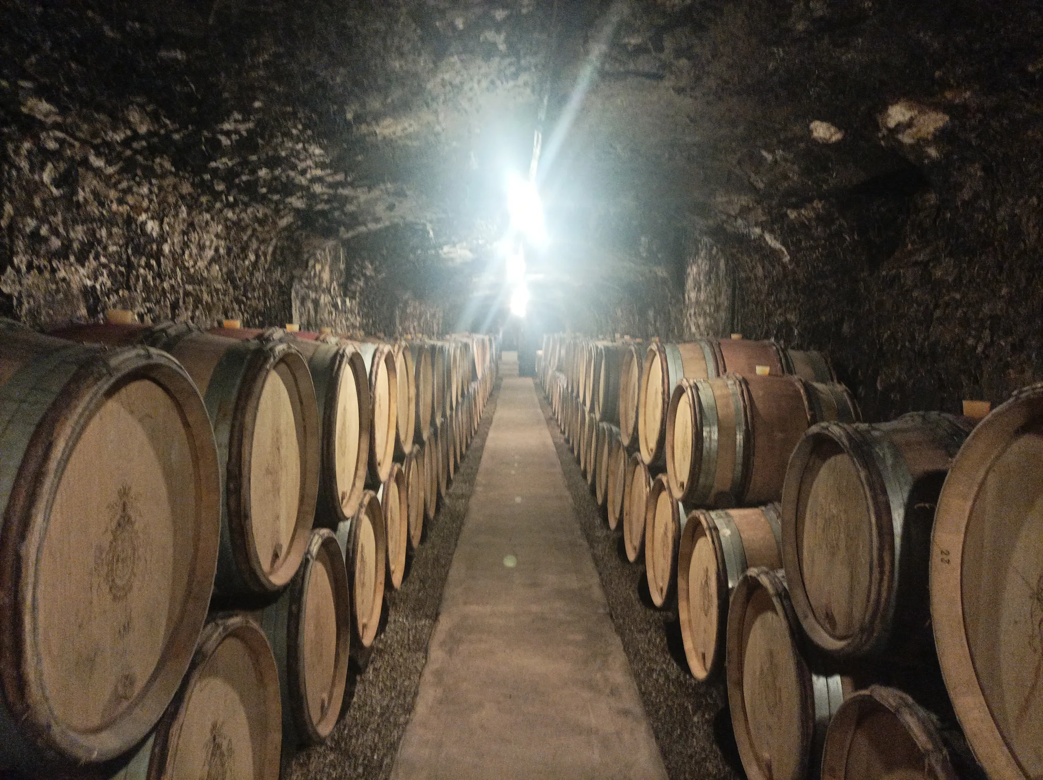 Weintour in Burgund, Romain Bouchaud