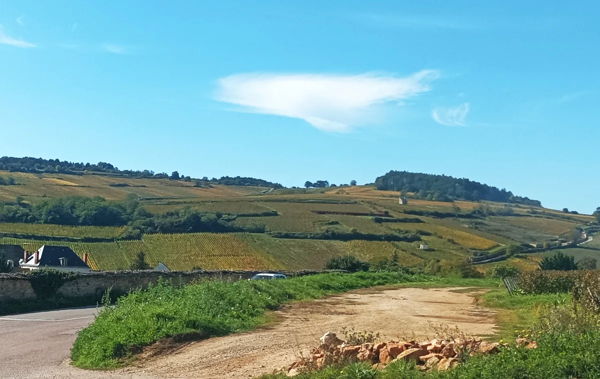 Weintour in Pommard, Romain Bouchaud
