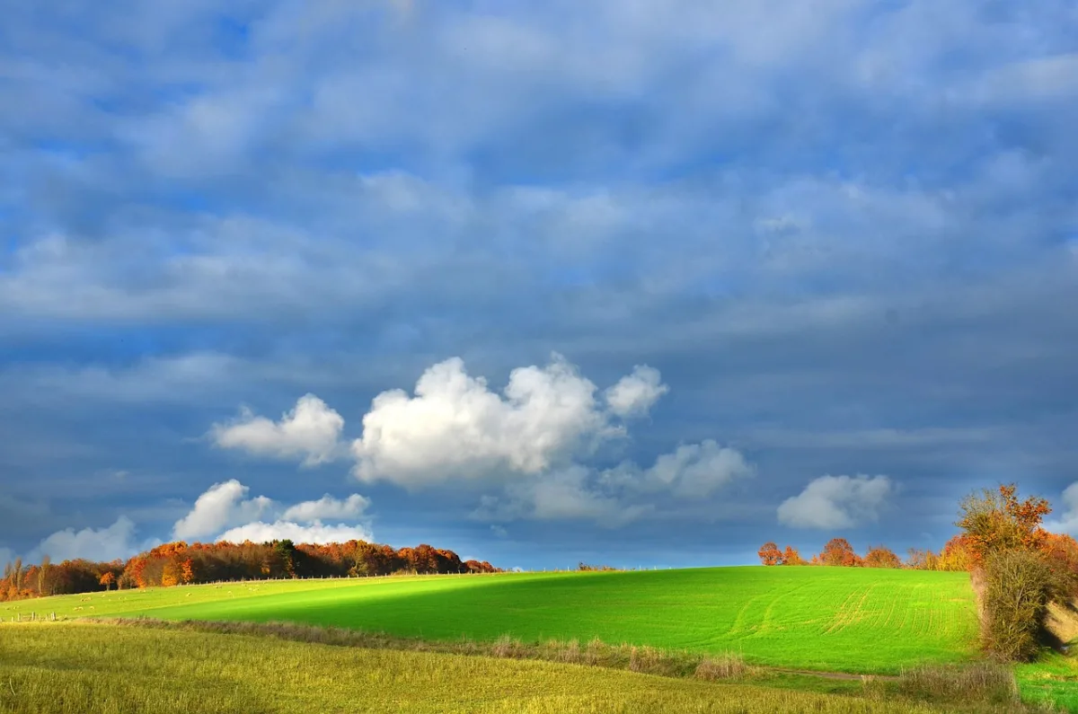 Tours in Alsace, Romain Bouchaud