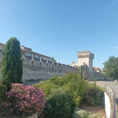 Tour to Avignon and Arles – 8 hours
