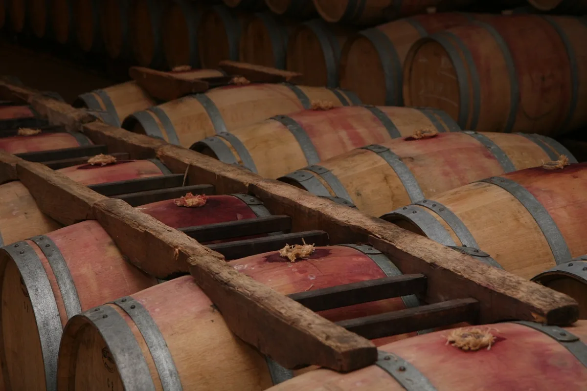 Wine tour in Burgundy, Romain Bouchaud