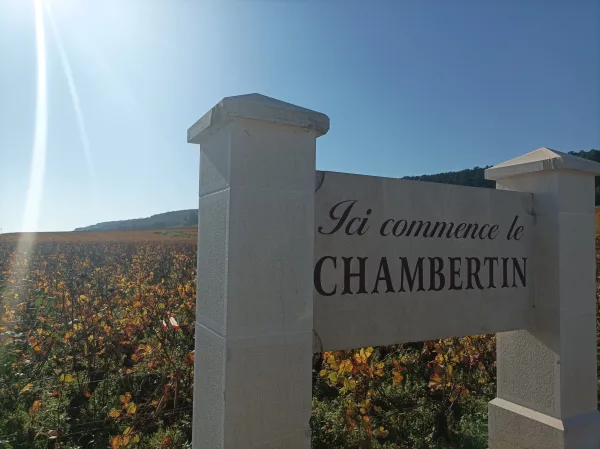 Tour in Burgundy, Romain Bouchaud